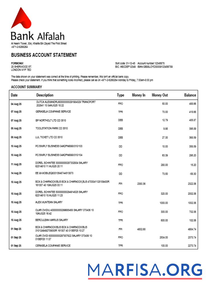 Blank UAE Abu Dhabi Bank Alfalah company checking account statement Word and PDF template